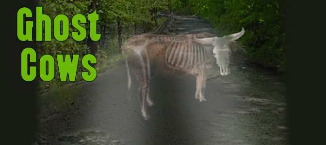 ghost-cow-672x300.png